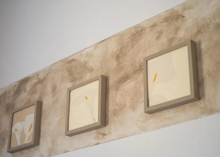 Belle Arti Gallery Garden House 博洛尼亚