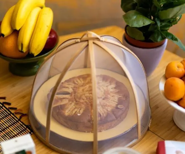 Belle Arti Gallery Garden House 4*