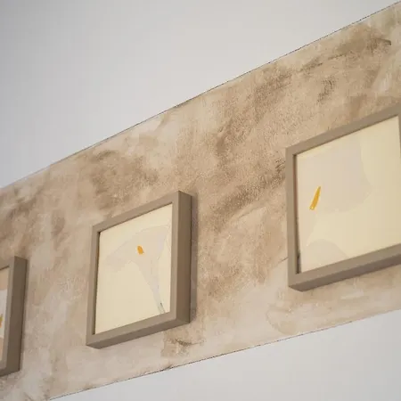 Belle Arti Gallery Garden House Bolonha