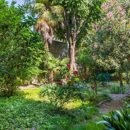 Belle Arti Gallery Garden House *